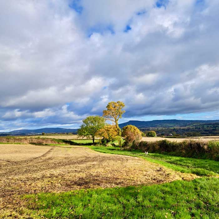 Fields near Ludlow enjoyed on The Ludlow Anticline Walking Itinerary