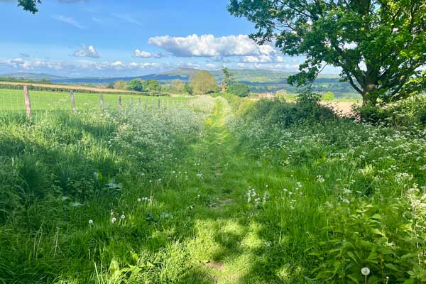 A walking itinerary for walking holiday at historic accommodation at The Salwey Lodge