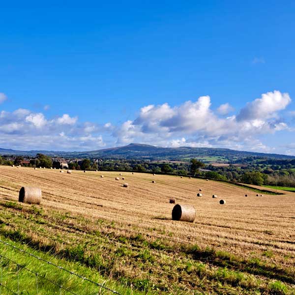 Haybales seen on a walking itinerary whilst staying at historic accommodation at the Salwey Lodge